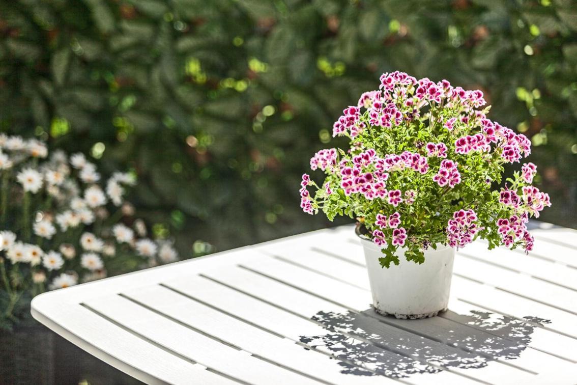 卡利亚里Garden Sant'Avendrace别墅 外观 照片